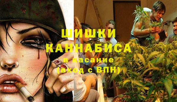 стафф Абаза