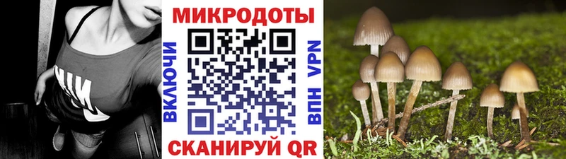 цены наркотик Карасук OMG как зайти Галлюциногенные грибы Psilocybe