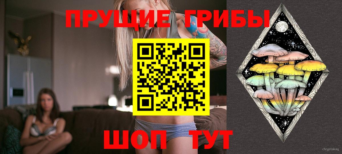 Псилоцибиновые грибы Magic Shrooms  Вход с VPN  Карасук 