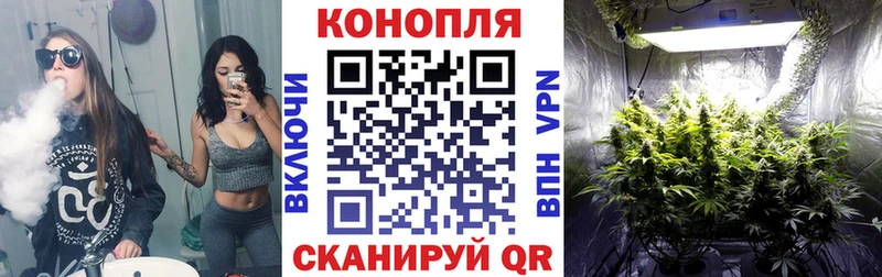 гидра ССЫЛКА  Карасук  Бошки марихуана Amnesia  цены наркотик 